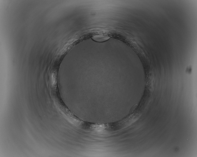 X0000115410131200911171408