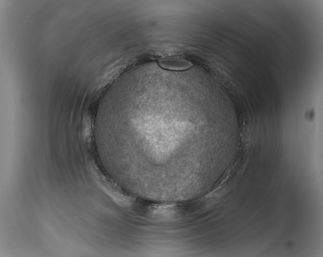 X0000115410132200911171408