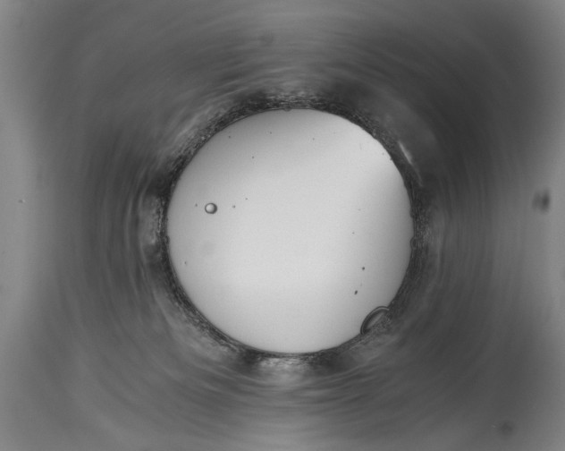 X0000115410133200911171408