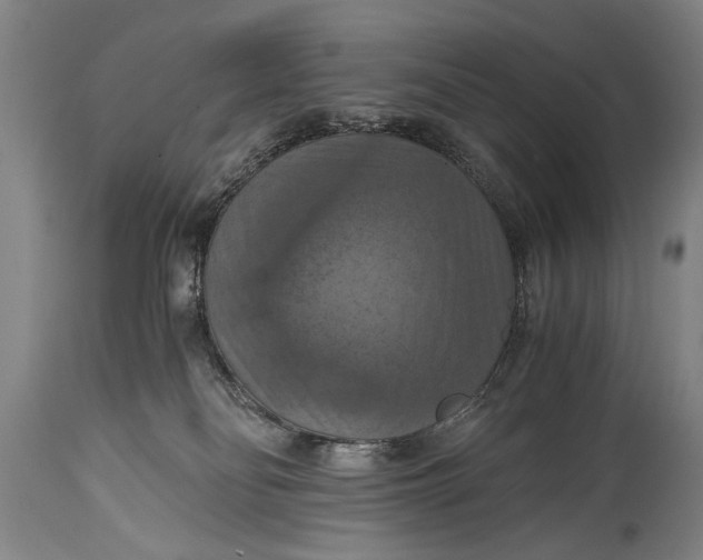 X0000115410134200911171408