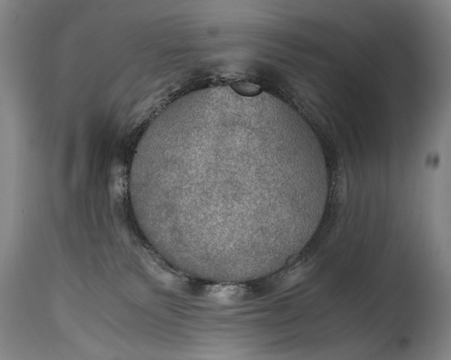 X0000115410135200911171408