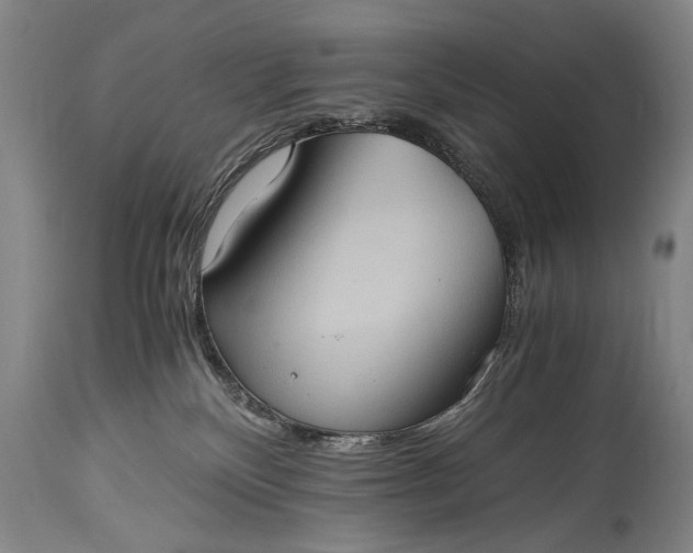 X0000115410136200911171408