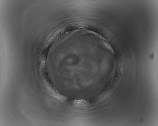 X0000115410137200911171408