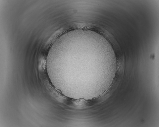 X0000115410142200911171408