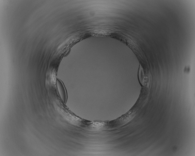 X0000115410143200911171408