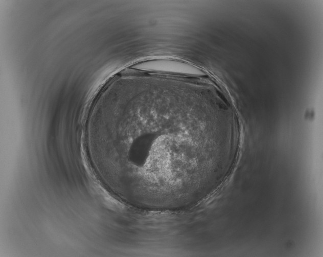 X0000115410145200911171408