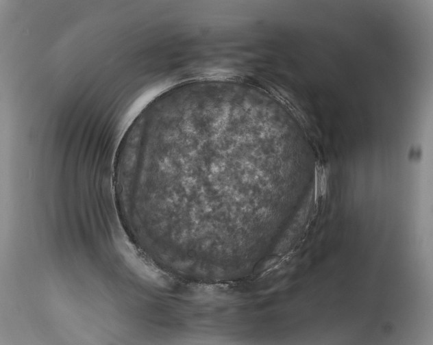 X0000115410147200911171408
