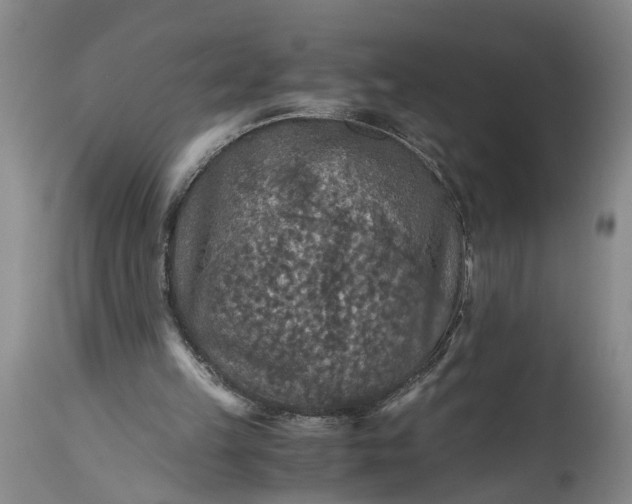 X0000115410149200911171408