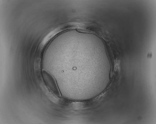 X0000115410150200911171408