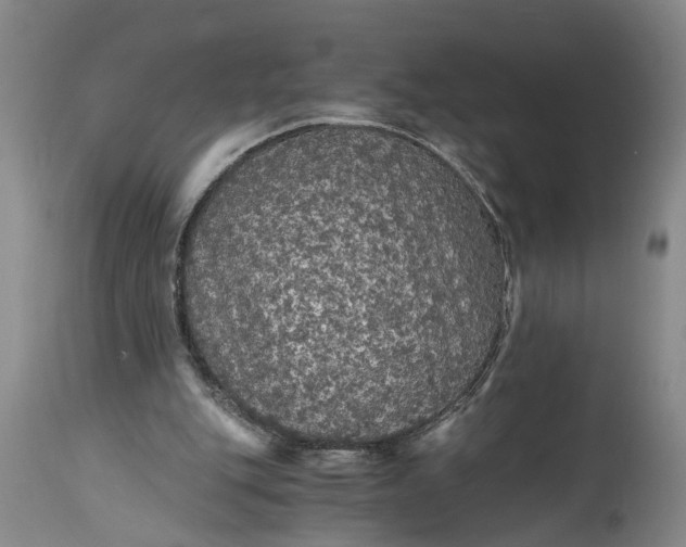 X0000115410151200911171408