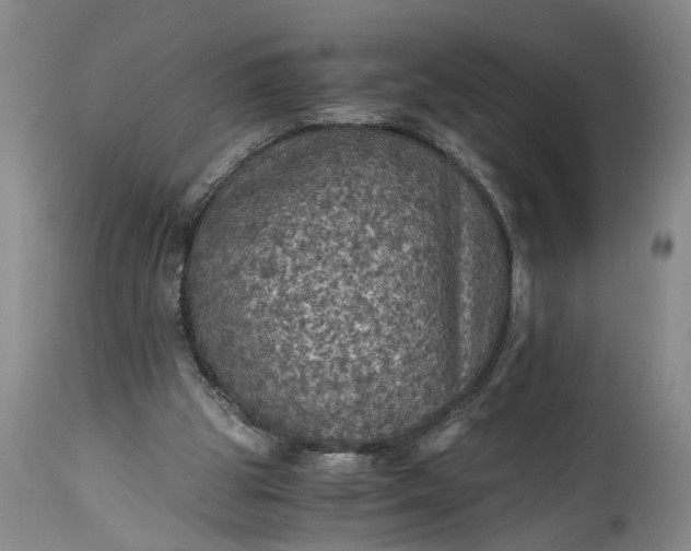X0000115410153200911171408