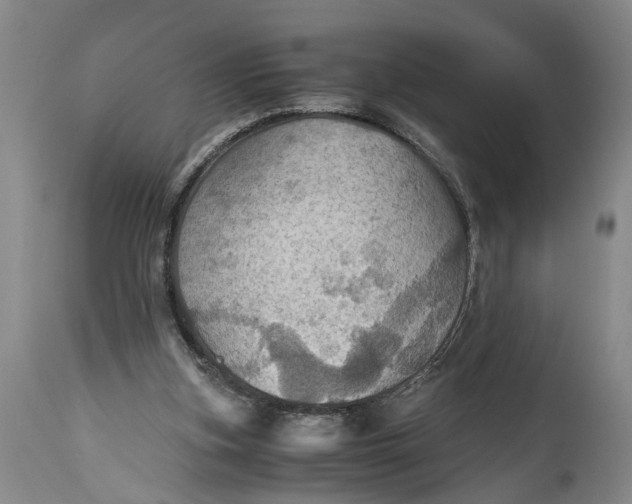 X0000115410155200911171408