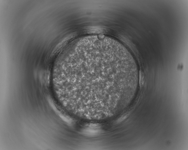 X0000115410157200911171408