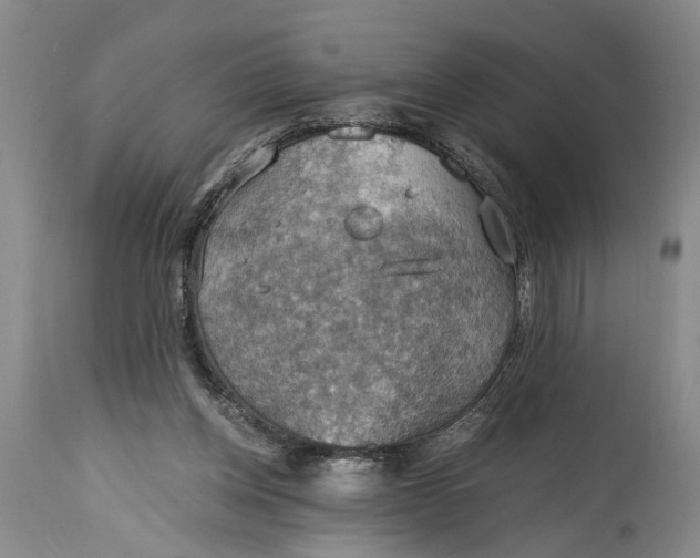 X0000115410158200911171408