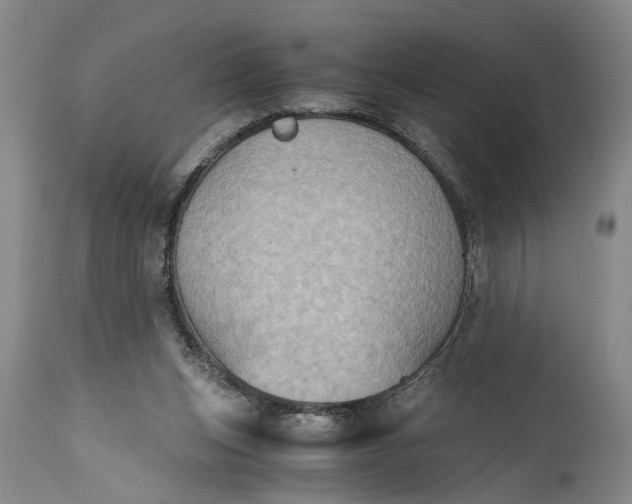 X0000115410159200911171408