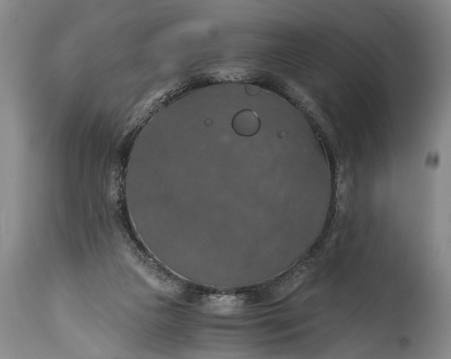 X0000115410161200911171408