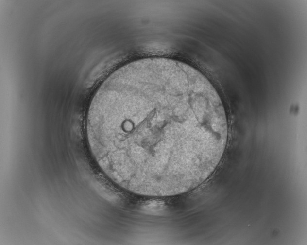 X0000115410162200911171408