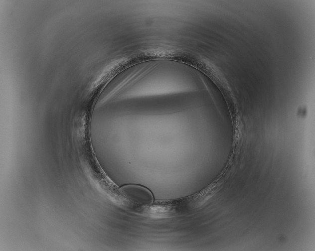 X0000115410163200911171408