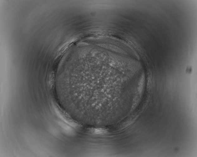 X0000115410165200911171408