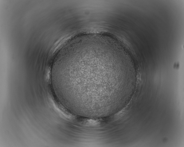 X0000115410166200911171408