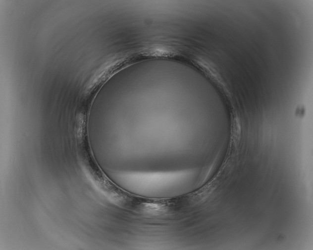 X0000115410167200911171408