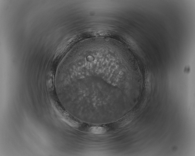 X0000115410169200911171408