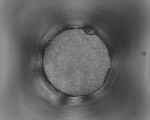 X0000115410170200911171408