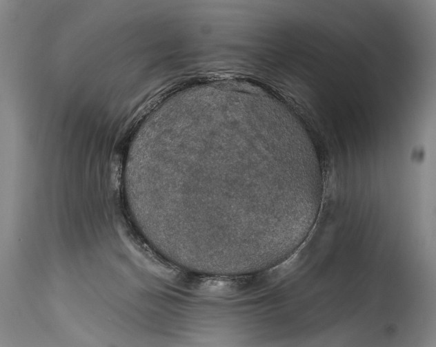 X0000115410174200911171408