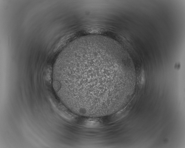 X0000115410175200911171408