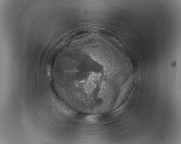 X0000115410178200911171408