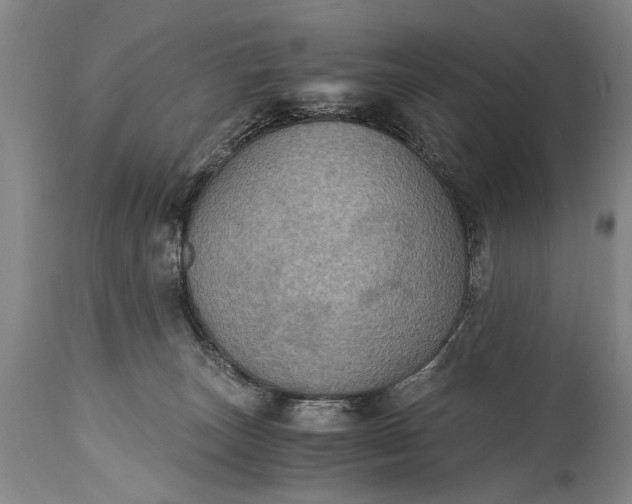 X0000115410179200911171408