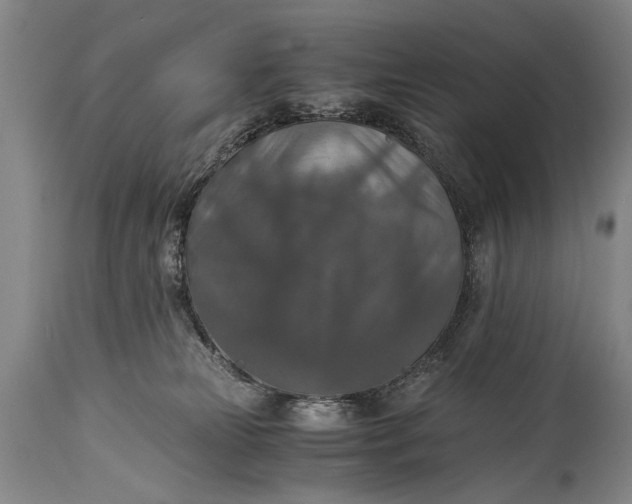 X0000115410181200911171408