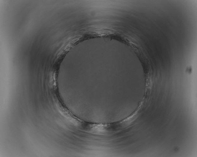X0000115410182200911171408