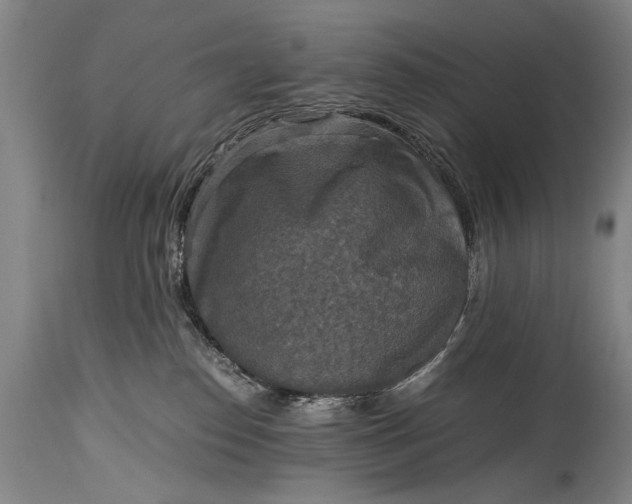 X0000115410186200911171408
