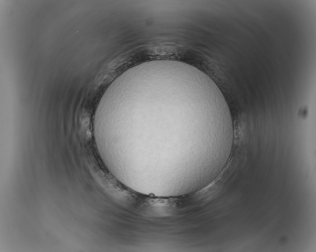 X0000115410187200911171408