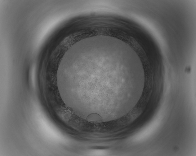 X0000115410189200911171408