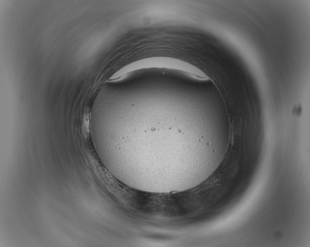 X0000115410190200911171408