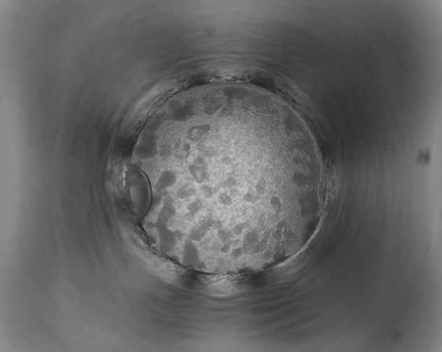 X0000115410191200911171408