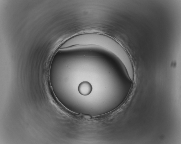 X0000115410193200911171408