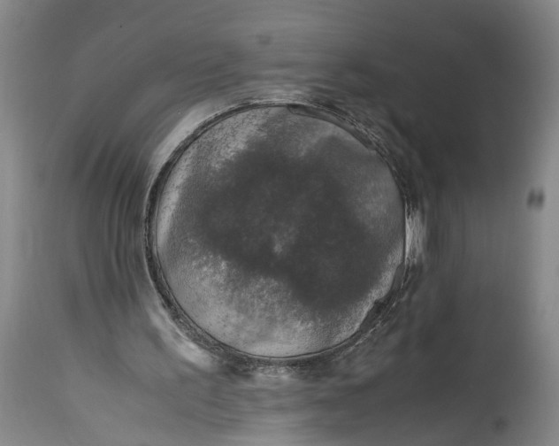 X0000115410195200911171408