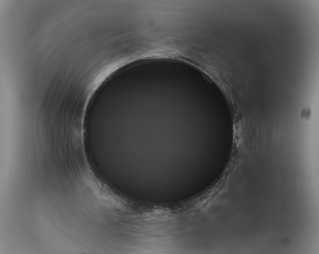 X0000115410196200911171407