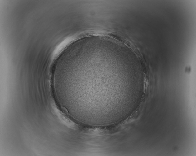 X0000115410197200911171407