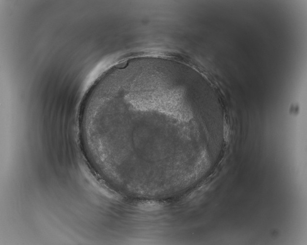 X0000115410198200911171407