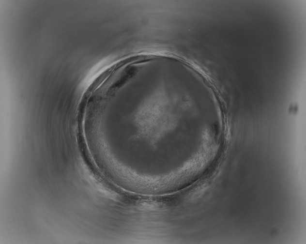 X0000115410199200911171407