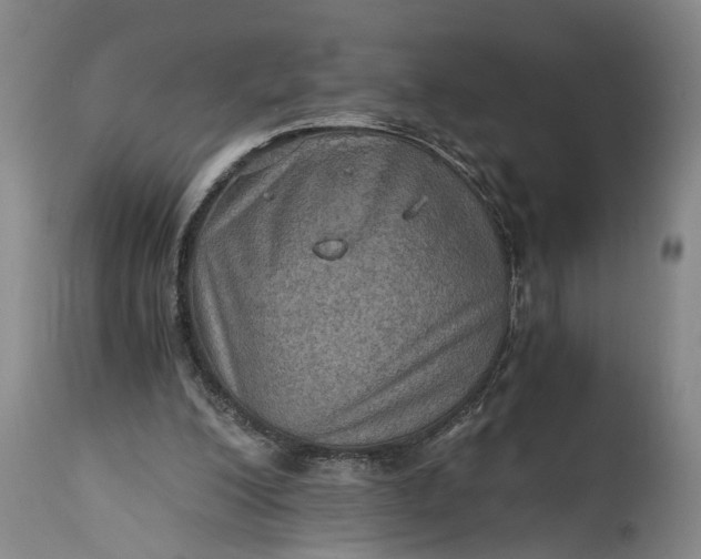 X0000115410200200911171407