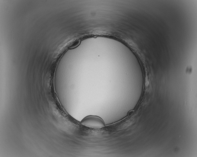 X0000115410201200911171407