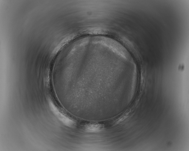 X0000115410202200911171407