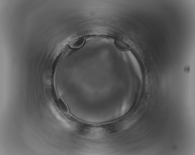 X0000115410203200911171407