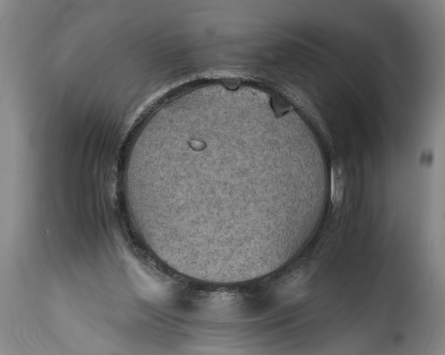 X0000115410204200911171407