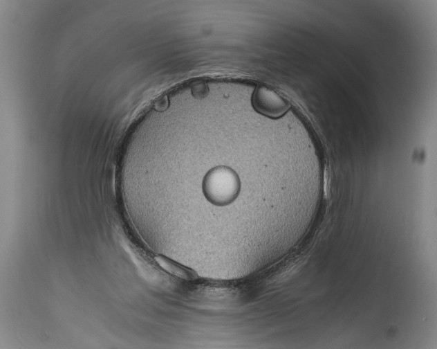 X0000115410205200911171407